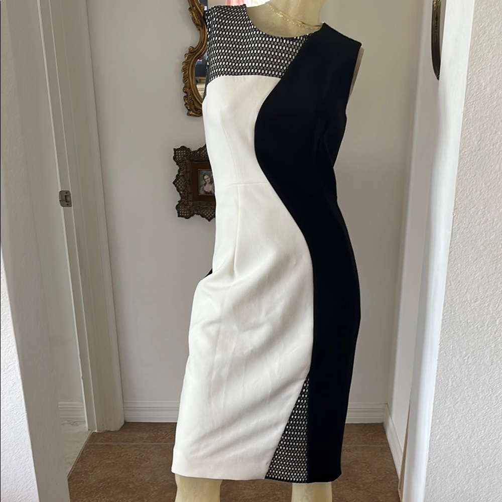 Elegant Milly Black and White Sleeveless Dress